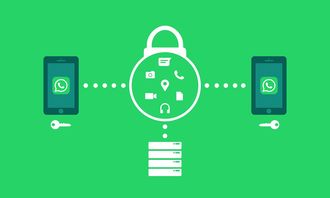 开云体育博彩-体育新闻采编流程中的内容安全机制构建，体育新闻报道要求