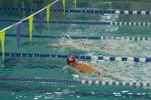 开云体育在线-全国大学生花样游泳大赛优秀节目连连，2020年全国花样游泳比赛